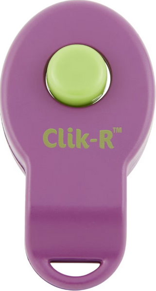 67 Clik R PetSafe Clik-R Dog Training Tool – My Head To Tail