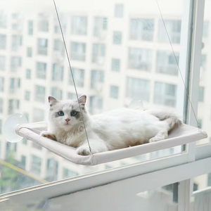 PiCi Paw Window Perch