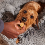 Load image into Gallery viewer, Bocce&#39;s Bakery Bac&#39;n Nutty PB &amp; Bacon Recipe Soft &amp; Chewy Dog Treats
