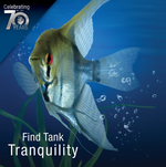 Load image into Gallery viewer, Tetra Bio-Bag Large Disposable Filter Cartridges
