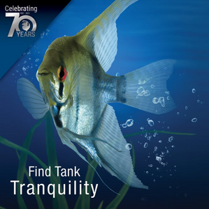 Tetra Bio-Bag Large Disposable Filter Cartridges