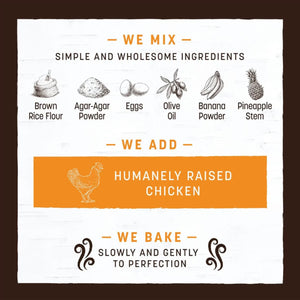 Earth Animal No-Hide Rolls Long Lasting Natural Rawhide Alternative Chicken Recipe Chew Dog Treats
