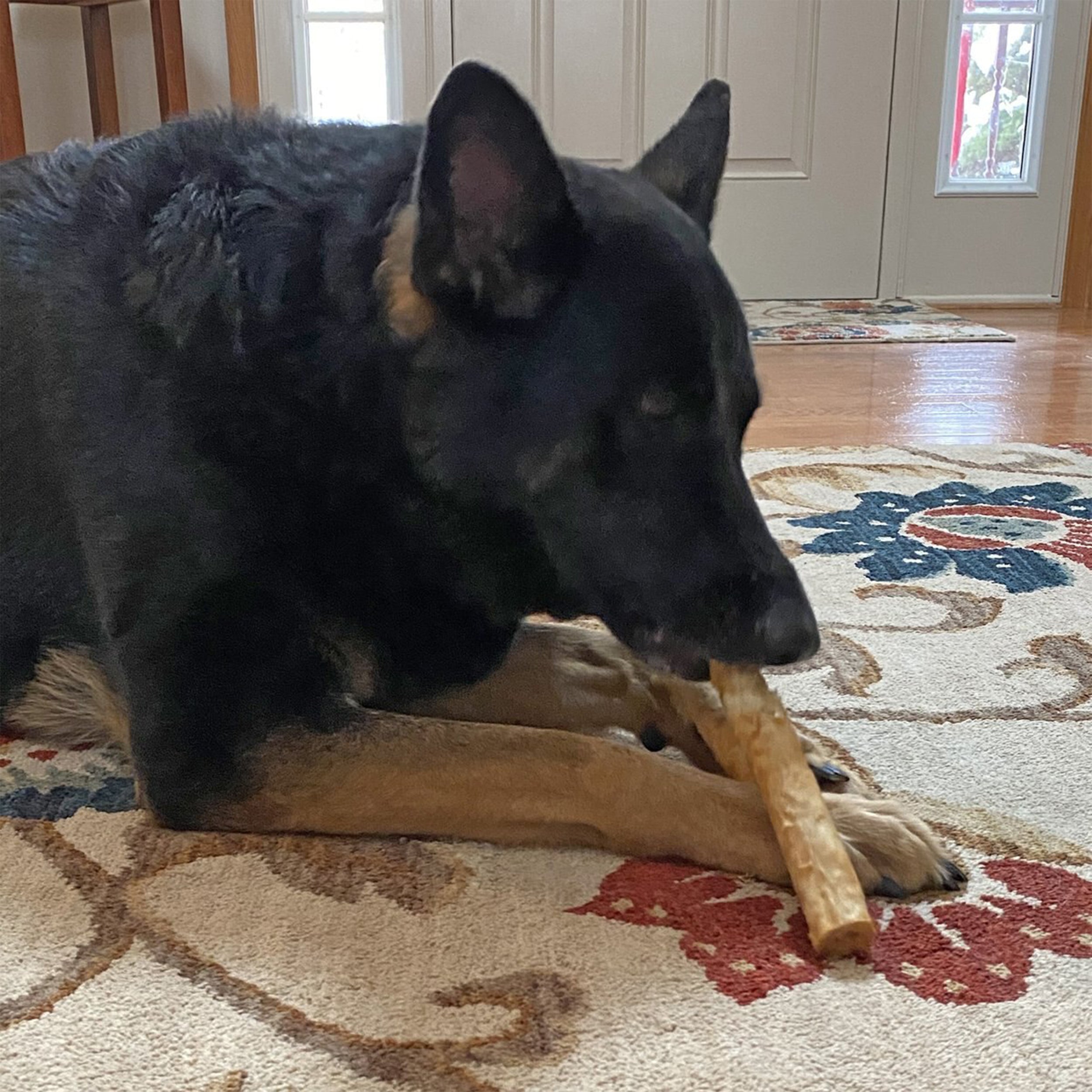 Fieldcrest Farms Nothin' To Hide Rawhide Alternative Large Roll 10" Natural Chew Dog Treats