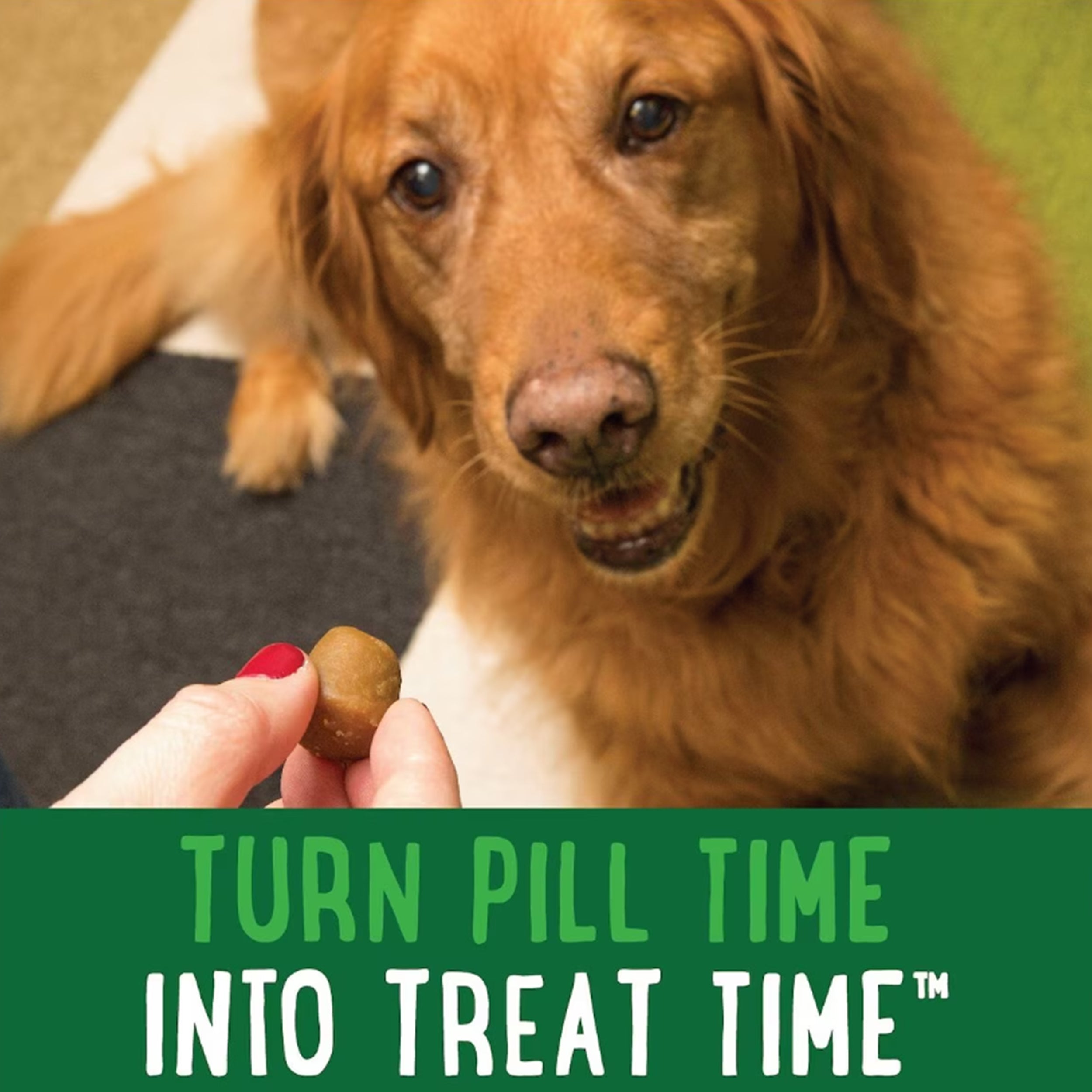 Greenies Pill Pockets Canine Hickory Smoke Flavor Dog Treats