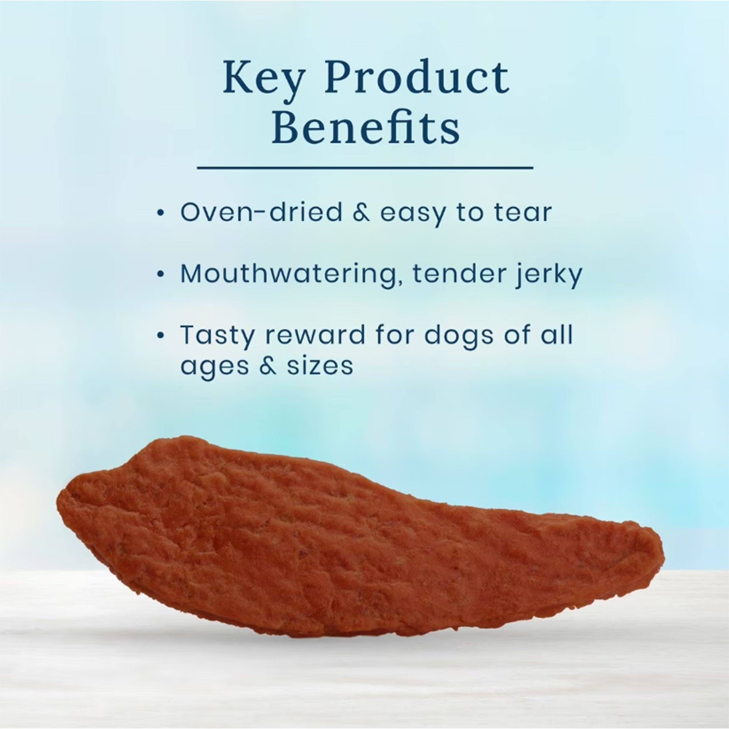 Blue Buffalo True Chews Premium Jerky Cuts Natural Steak Dog Treats, 10 OZ Bag