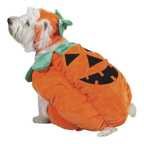 Zack & Zoey Pumpkin Pooch Costume