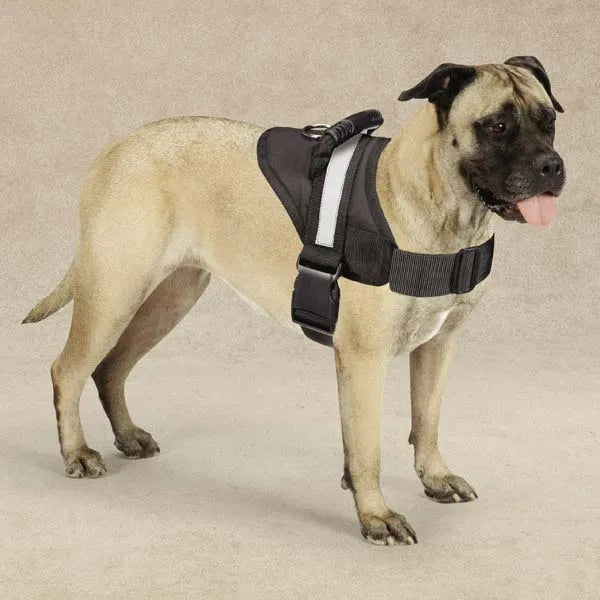 Casual Canine EXCURSION HARNESS
