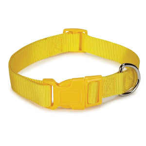 Casual Canine Nylon Adjustable Pet Collar for Dogs