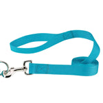 Load image into Gallery viewer, Casual Canine Nylon Dog Leash 8 Colors
