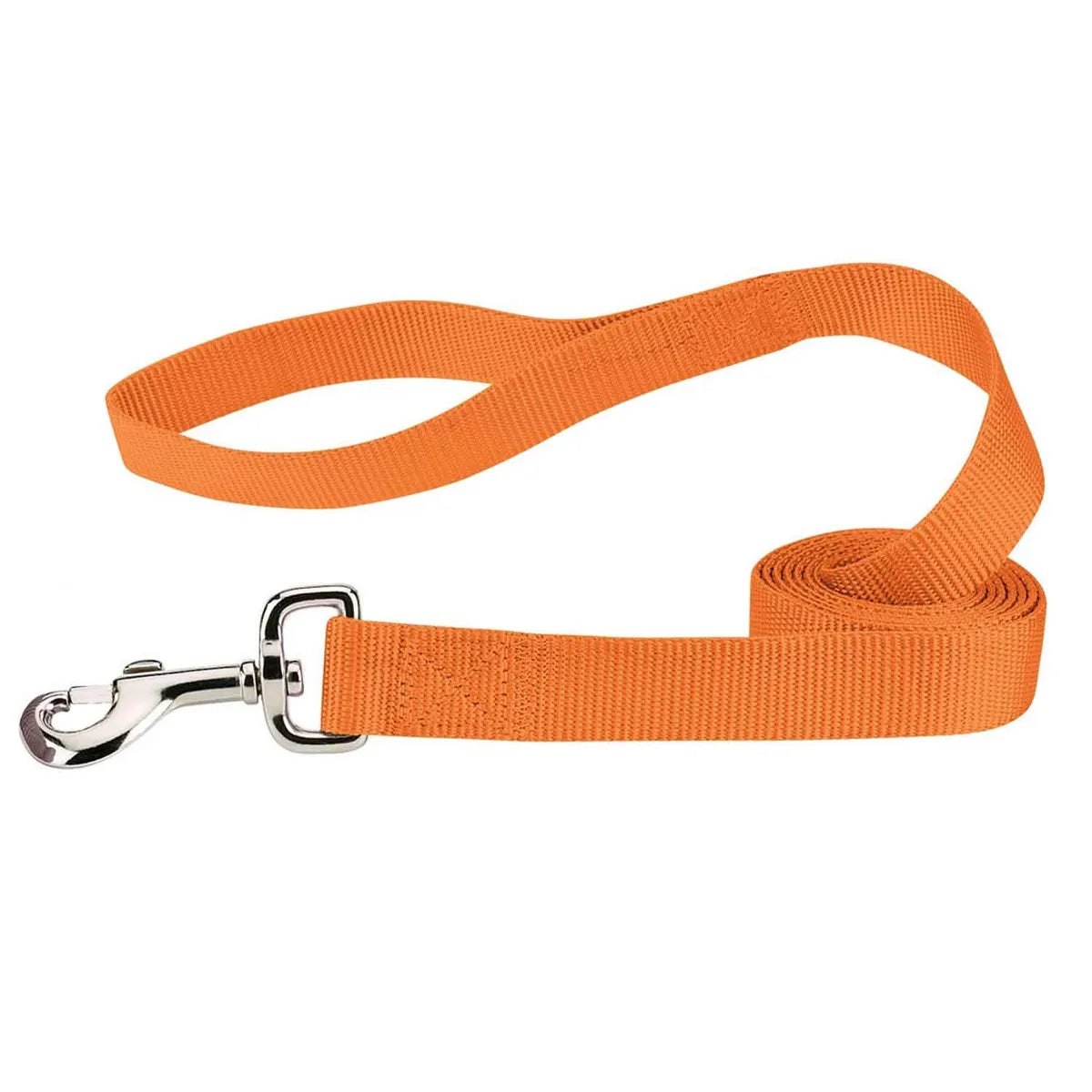 Casual Canine Nylon Dog Leash 8 Colors