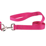 Load image into Gallery viewer, Casual Canine Nylon Dog Leash 8 Colors

