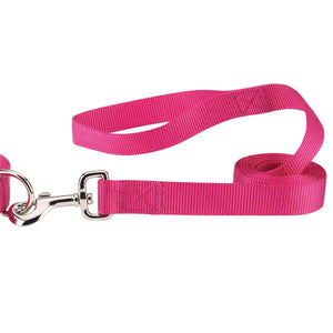 Casual Canine Nylon Dog Leash 8 Colors