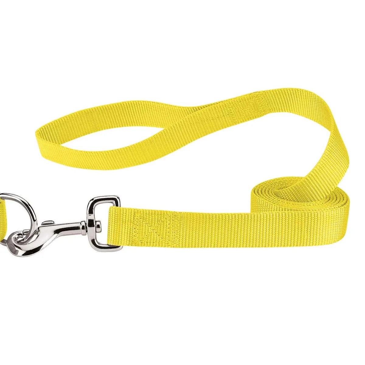 Casual Canine Nylon Dog Leash 8 Colors