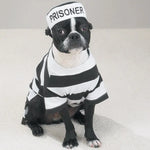 Load image into Gallery viewer, Casual Canine Prison Pooch Costume
