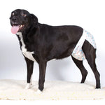 Load image into Gallery viewer, Clean Go Pet Super Absorbent Disposable Male &amp; Female Dog Diapers
