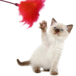 Load image into Gallery viewer, Puff Wand Enticing Feather Tickler Cat Toy
