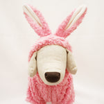 Load image into Gallery viewer, Easter Bunny Surprise! - Cute bunny costume for Small dogs &amp; Cats
