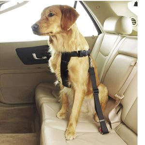 Guardian Gear Classic Car Harness