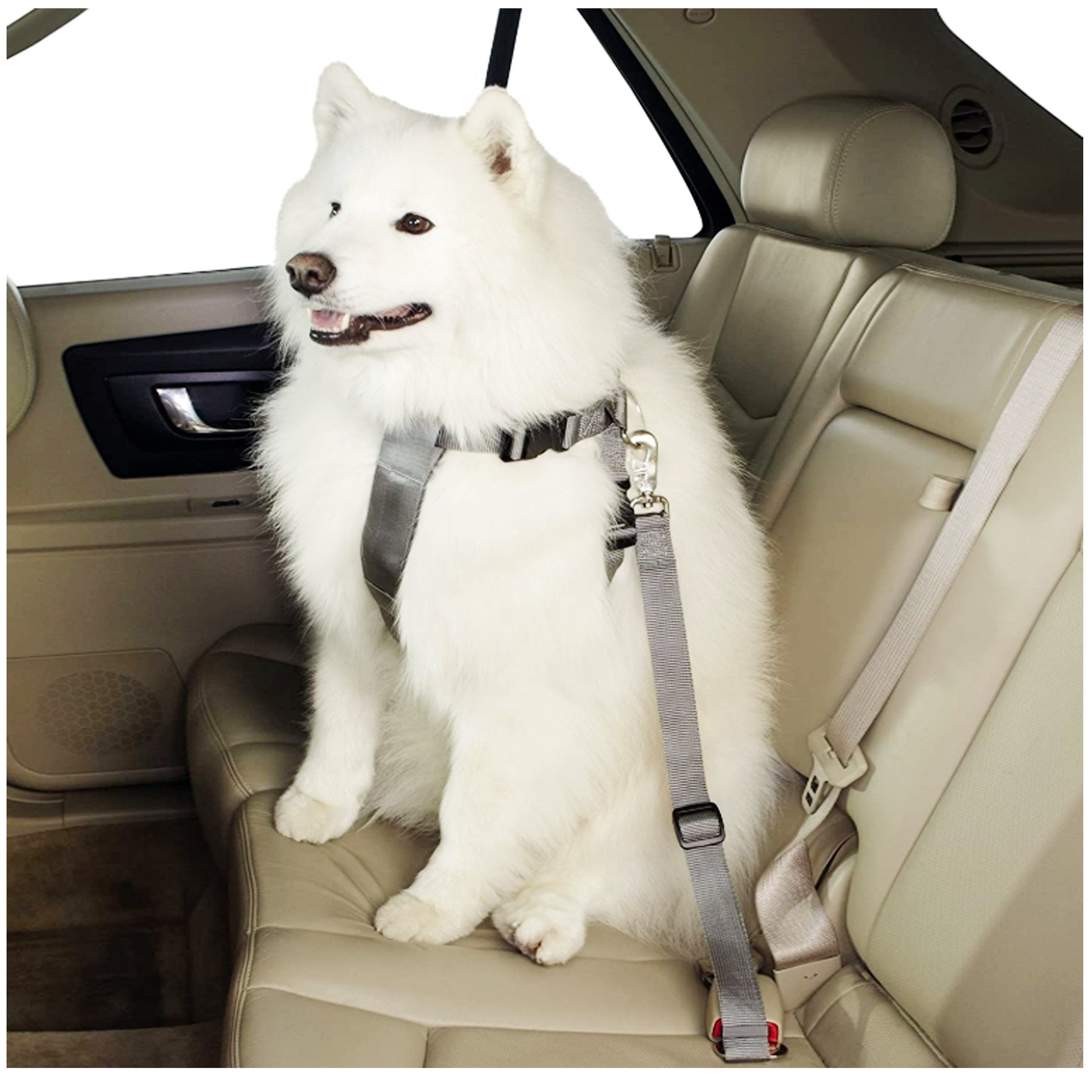 Guardian Gear Classic Car Harness