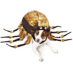 Load image into Gallery viewer, Zack &amp; Zoey Fuzzy Tarantula Costume
