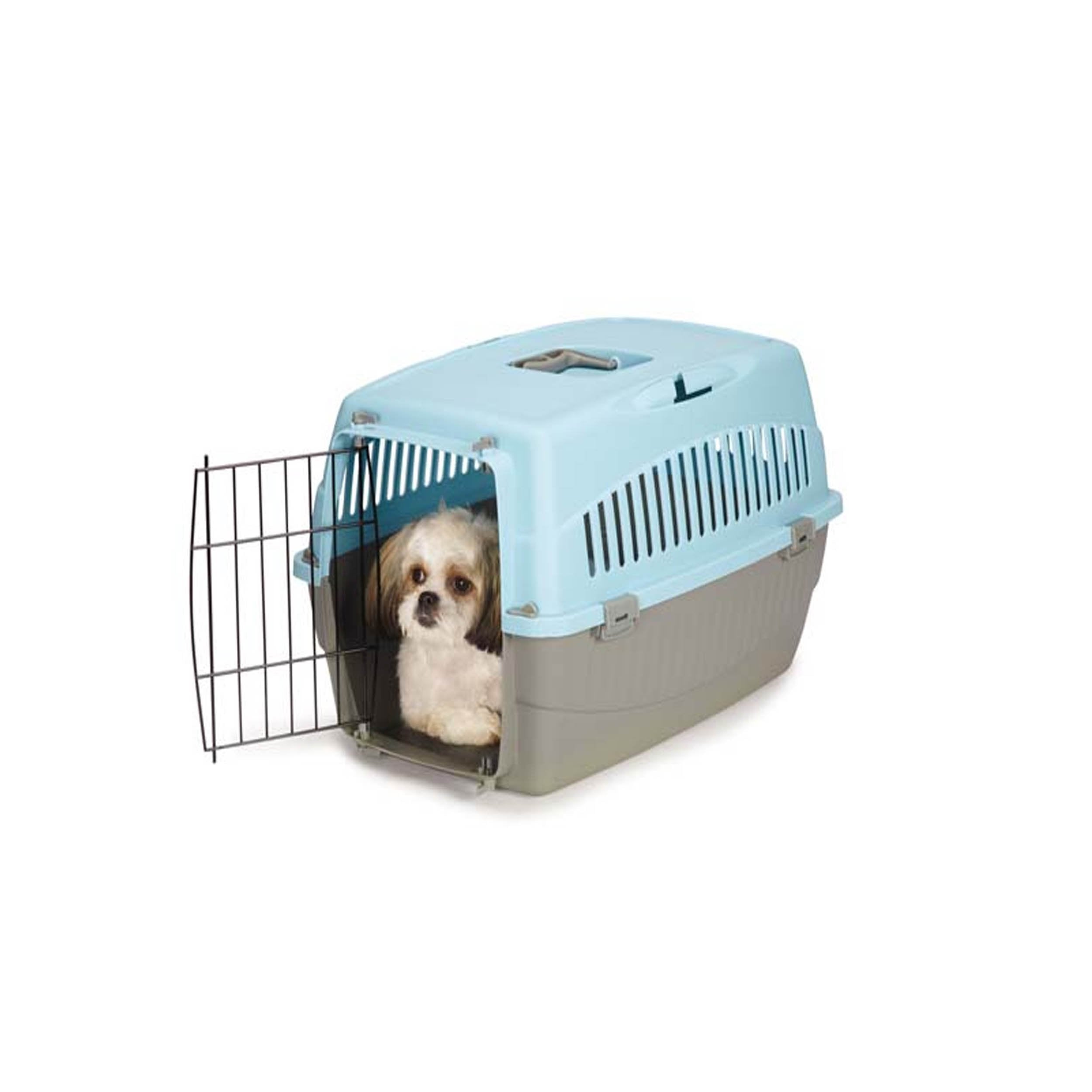 Cruising Companion Carry Me Pet Crate variety Of colors Pink, Orange, Green, Blue with grey base. Crate is extra comfortable and perfectly beathable. Intended use for travel, vet visits, or car rides. Sizes vary in only small and medium. Image model shitzu inside Medium Blue Crate 