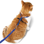 Load image into Gallery viewer, PetSafe Come with Me Kitty Nylon Cat Harness &amp; Bungee Leash
