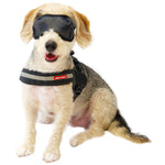 Load image into Gallery viewer, Lightweight Mesh Eyewear for Dogs - UV Filtered Protection
