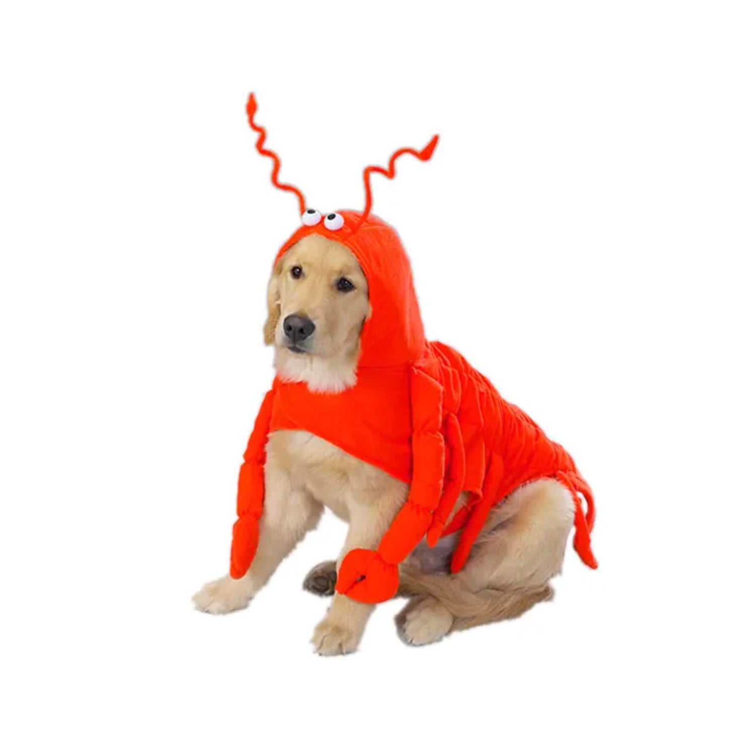 Casual Canine Lobster Paws Costume