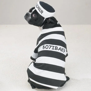 Casual Canine Prison Pooch Costume