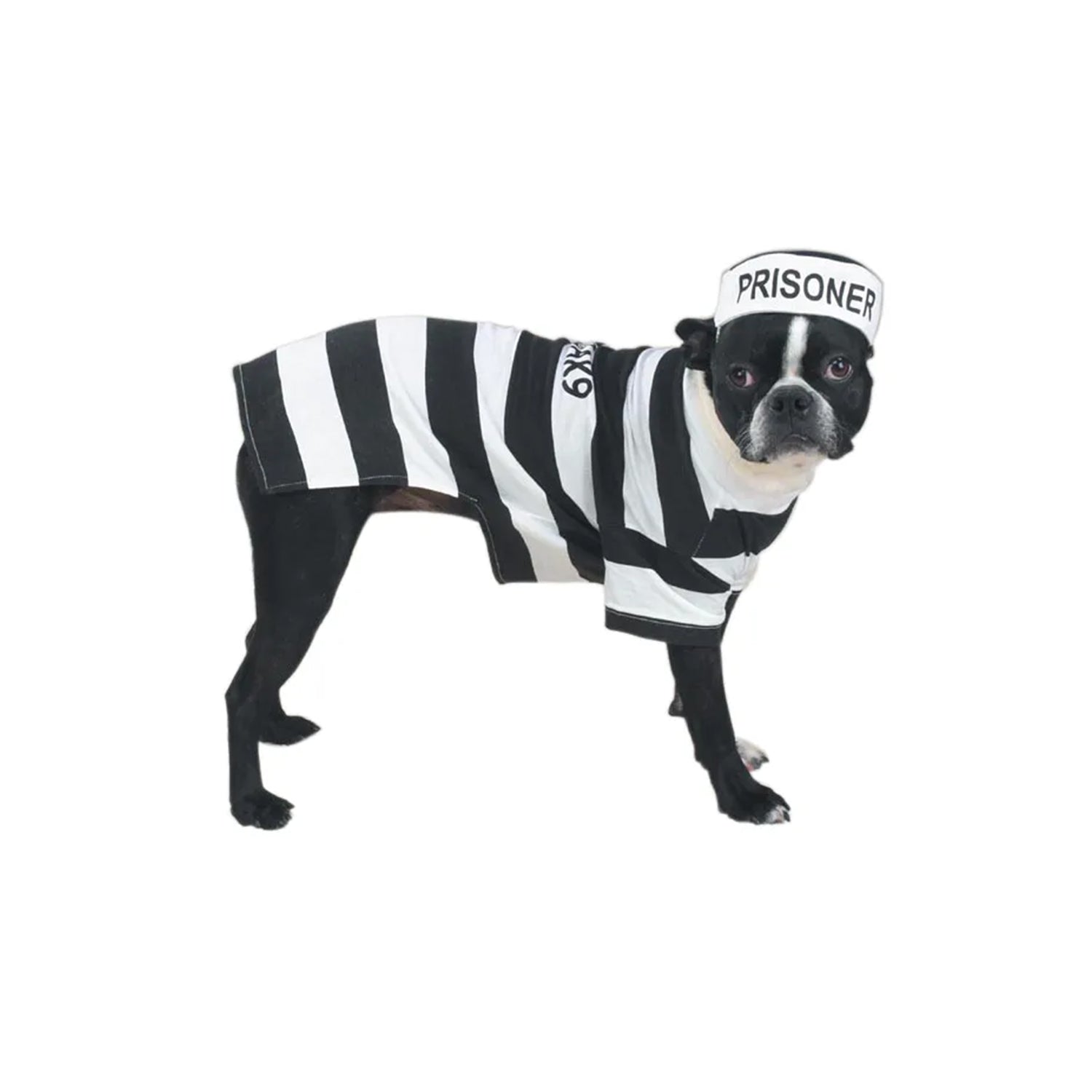 Casual Canine Prison Pooch Costume
