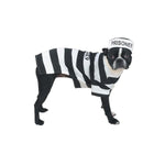 Load image into Gallery viewer, Casual Canine Prison Pooch Costume

