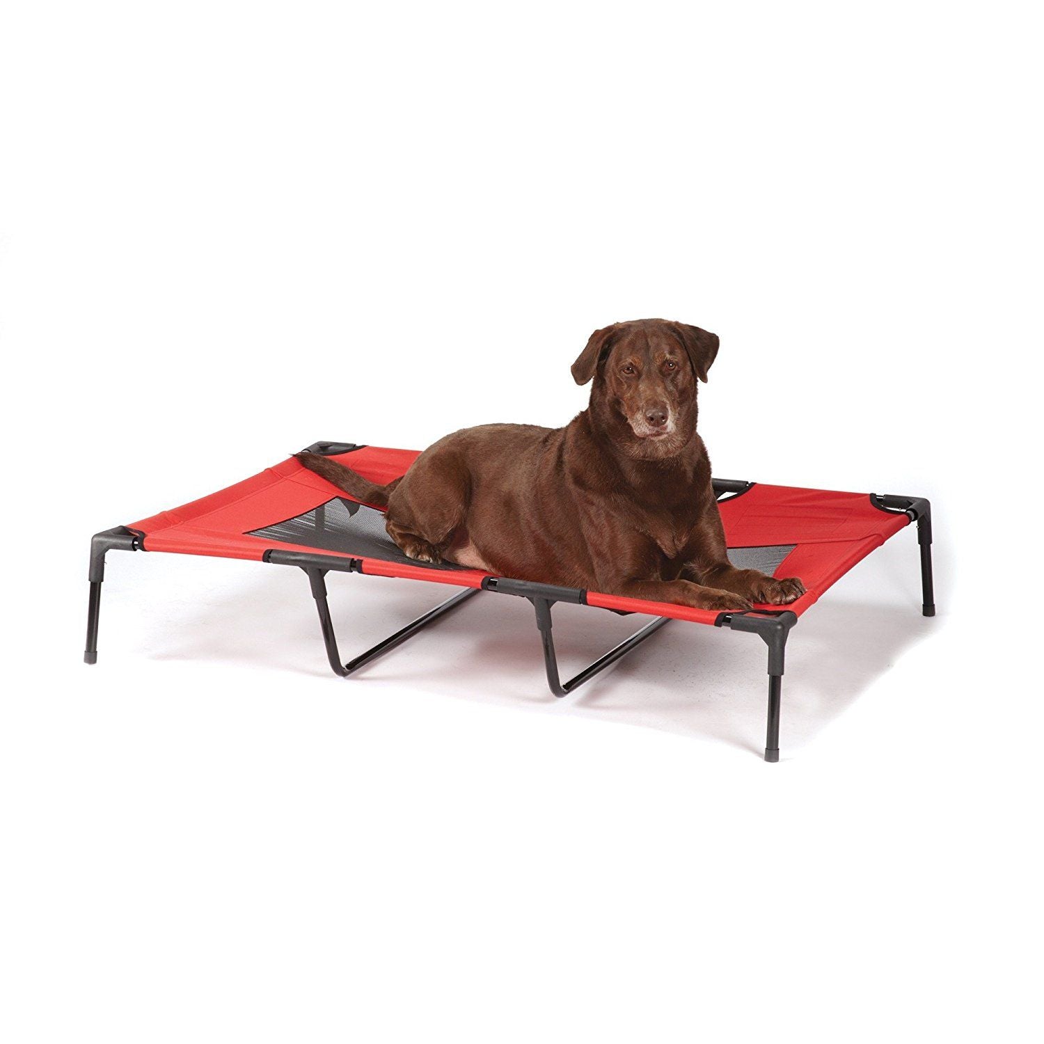 3 Size Crimson Pet Cot With Mesh Panel