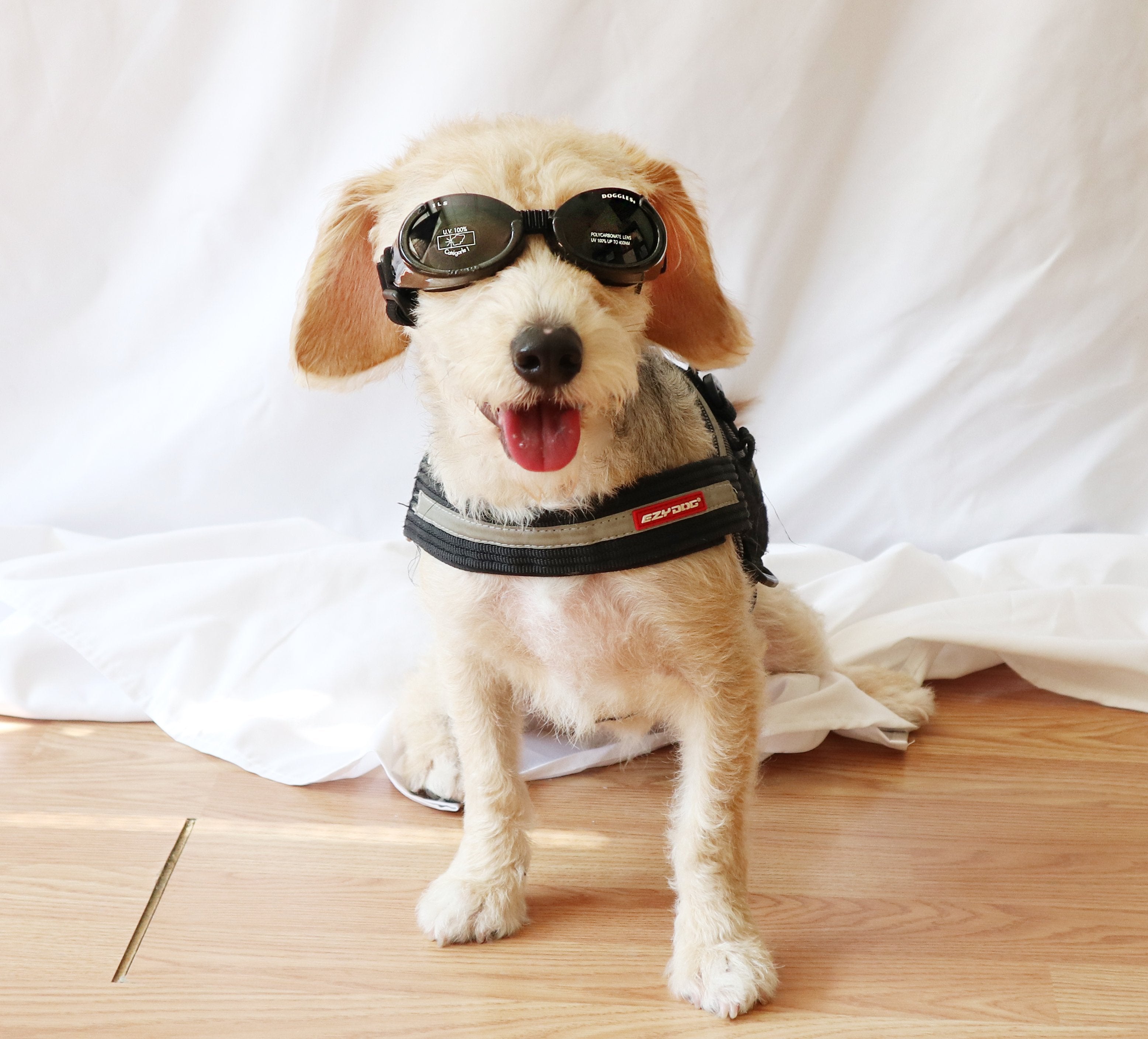 Doggles ILS - Protective Eyewear Glasses for Dogs