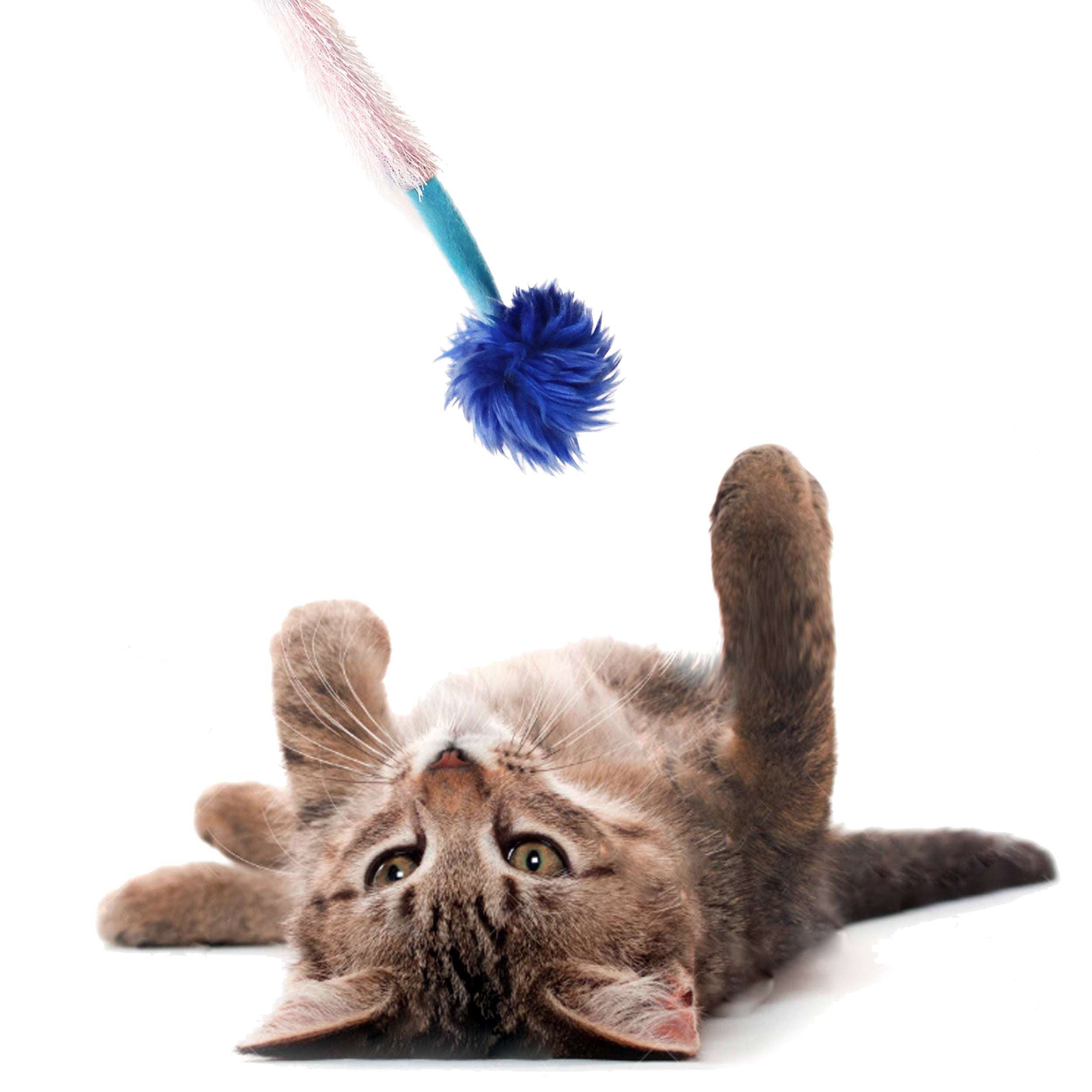 Interactive Crazy Cat Wand Stick toy Blue/Lilac with Blue Fuzzy Faux Fur Ball Fun String Cat toy for Cats and Kittens Detailed Model Kitty Excited Play