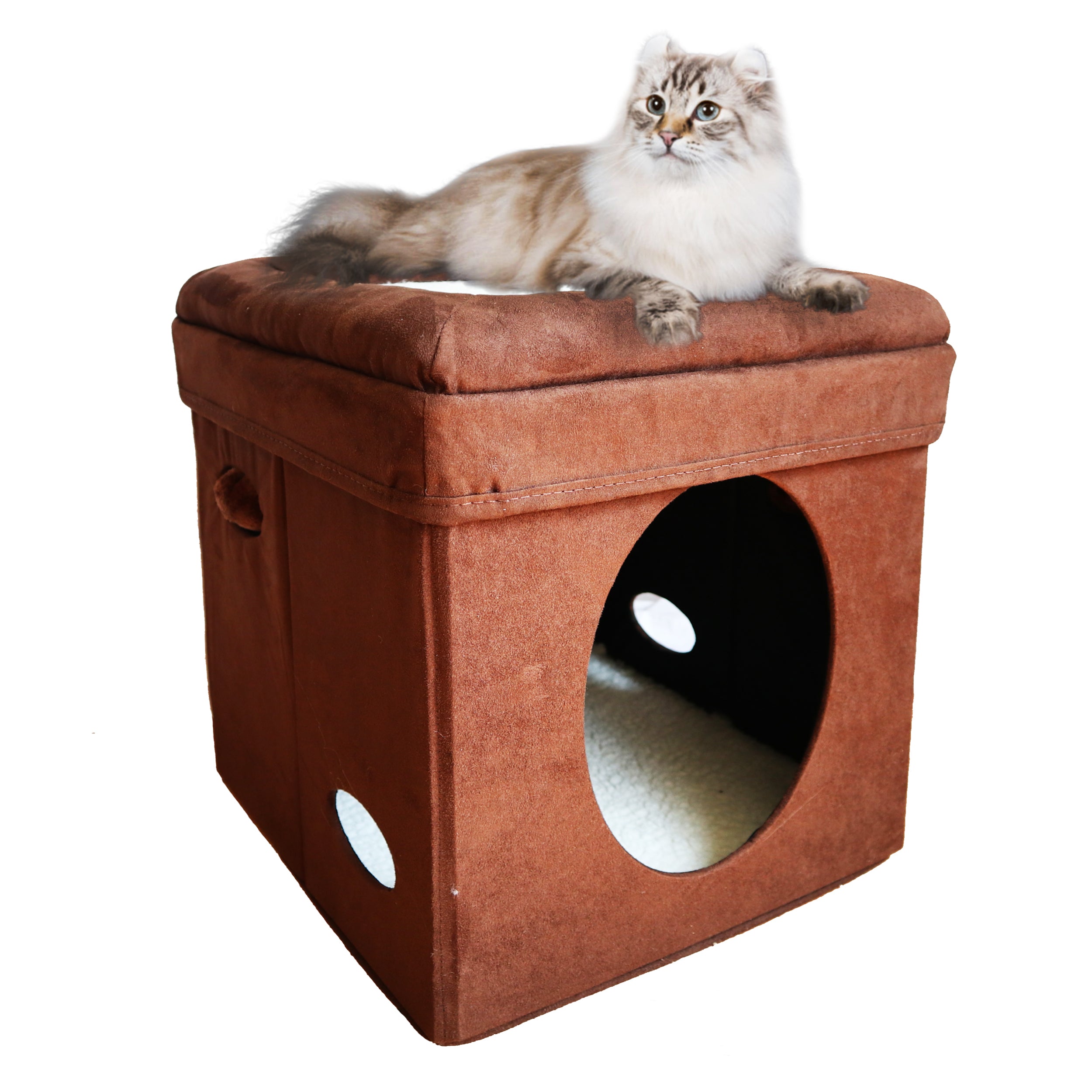 [Cat Bed] Feline Nuvo Midwest Curious Cat Cube Interactive Play Box