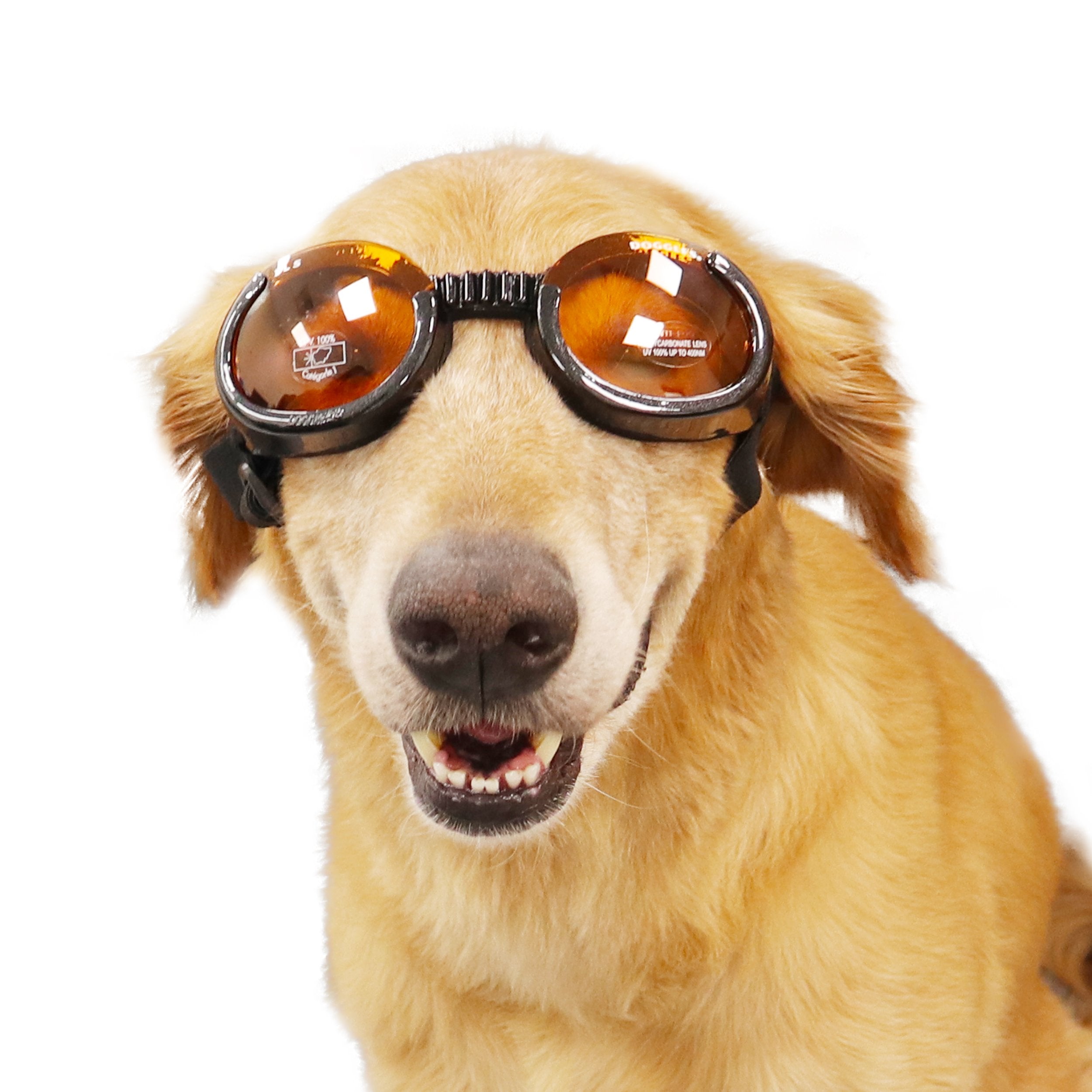 Doggles ILS - Protective Eyewear Glasses for Dogs