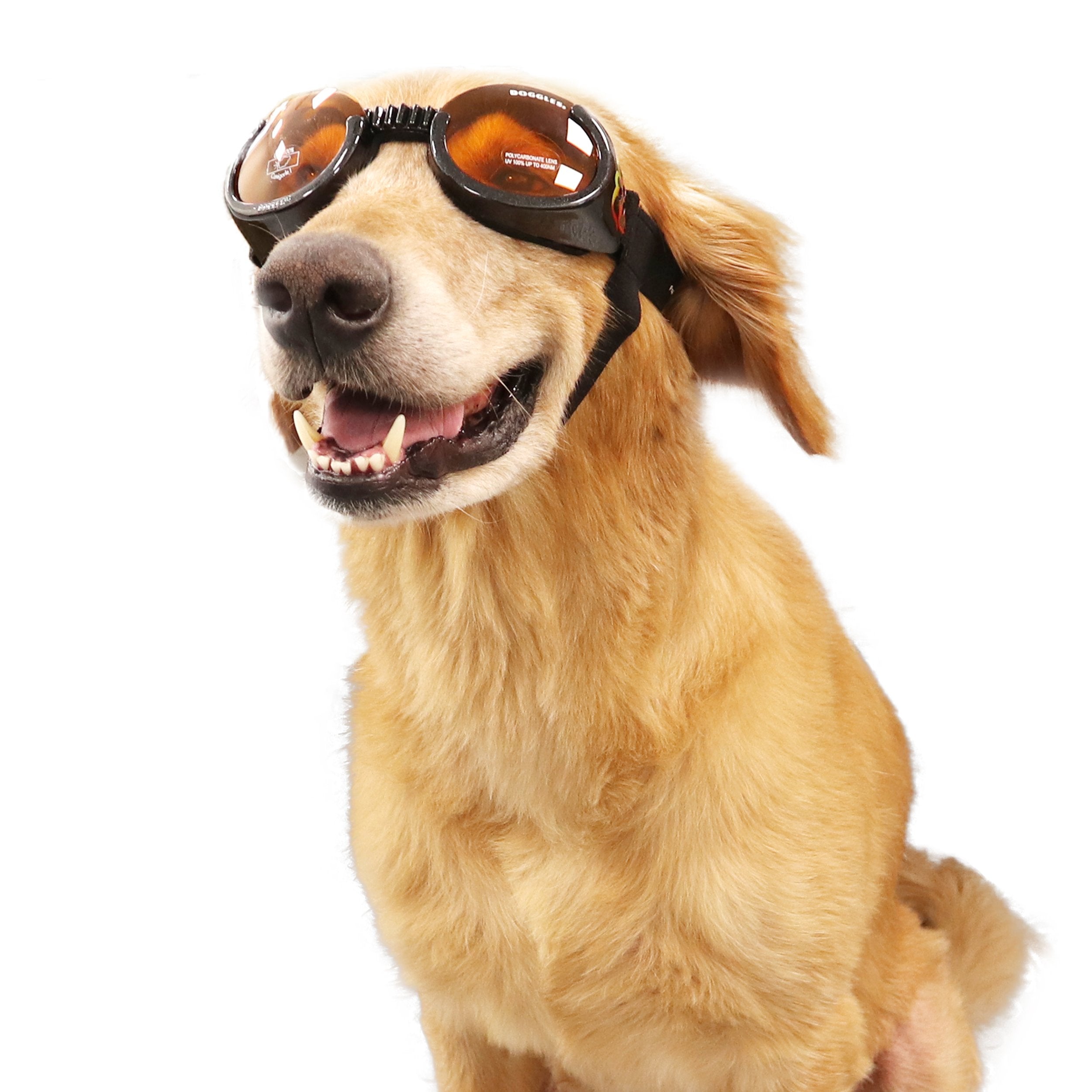 Doggles ILS - Protective Eyewear Glasses for Dogs