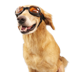 doggles dog goggles Doggles ILS