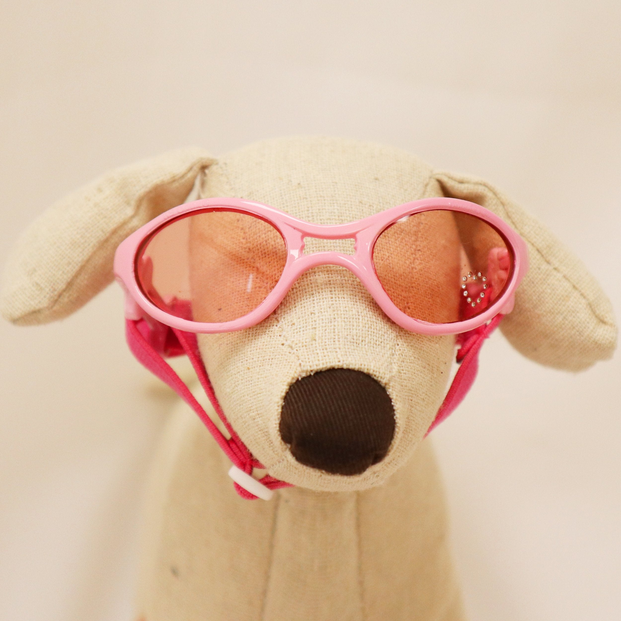 Doggles ILS - Protective Eyewear Glasses for Dogs