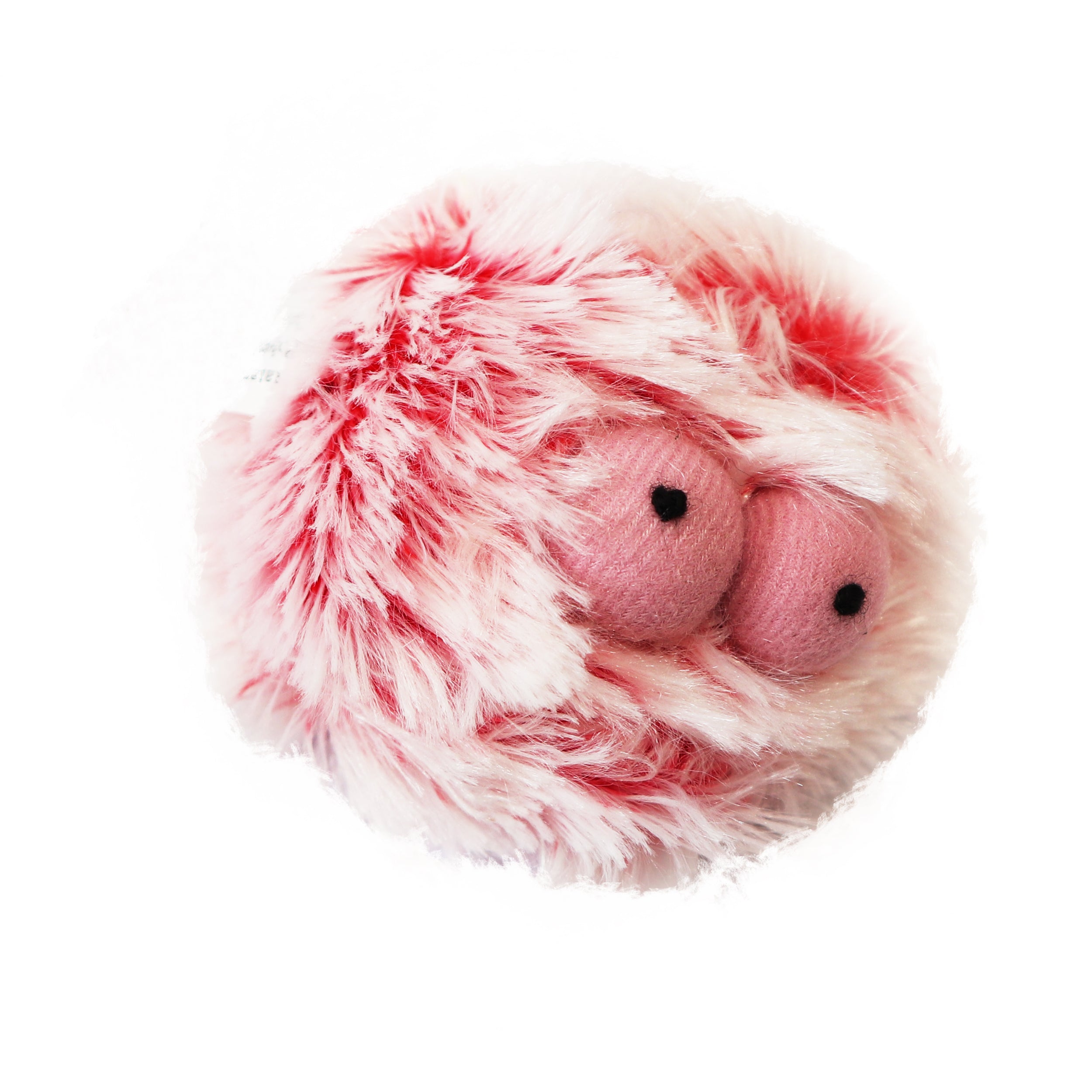 Soft Fish Cat Toy - Variety Colors