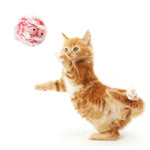 Load image into Gallery viewer, Soft Fish Cat Toy - Variety Colors
