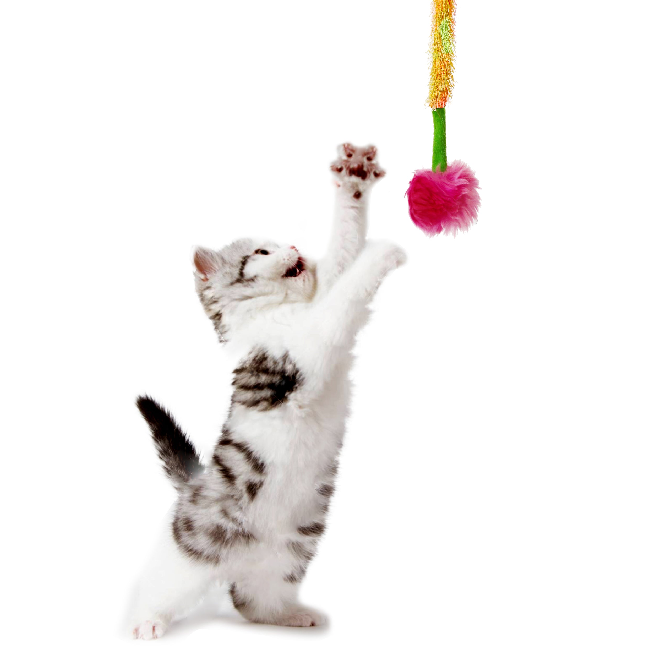 Interactive Crazy Cat Wand Stick toy Pink&Green with Pink Fuzzy Faux Fur Ball Fun String Cat toy for Cats and Kittens Detailed Model Kitten Crazy Play 
