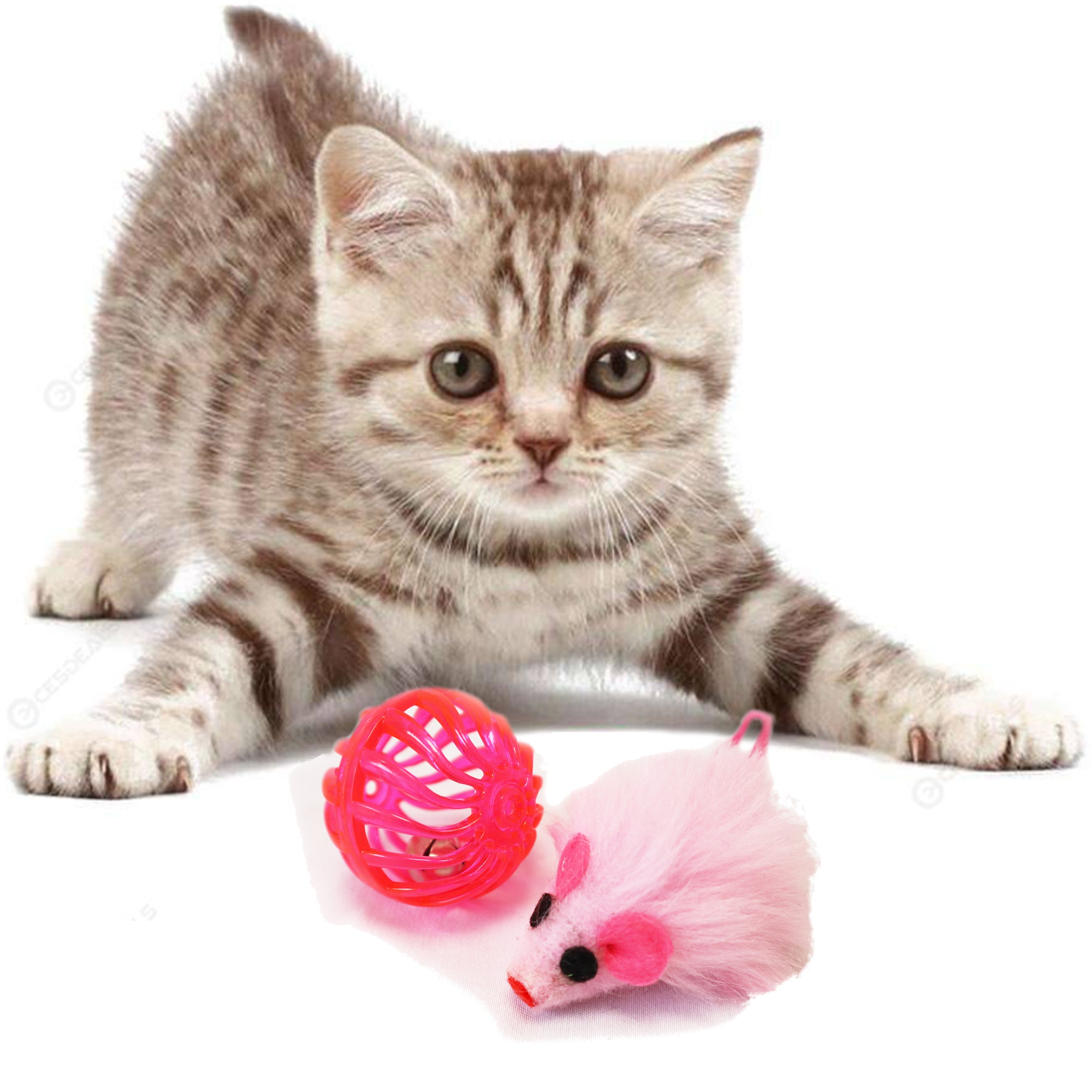 Pink Multitextured Ball Ball with one Furry Pink mouse with String Tail 2 piece one pack cat toy for cats and kittens fun exciting toy. Image with kitten playing 