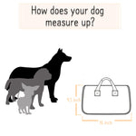 Load image into Gallery viewer, Beautiful Leather Case Carrier for Small Dogs and Cats with nylon stitched leather handles and strap Red Amy Loves Bags How does your Dog measure Up Comparison
